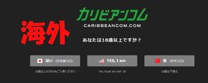 海外