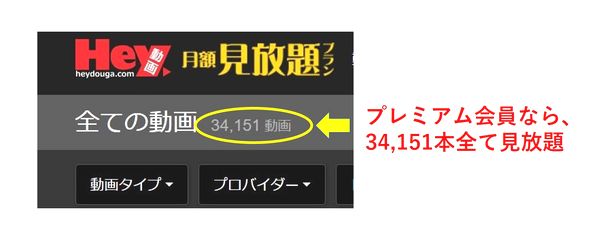 見放題数Hey動画見放題プラン