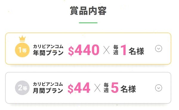 商品内容